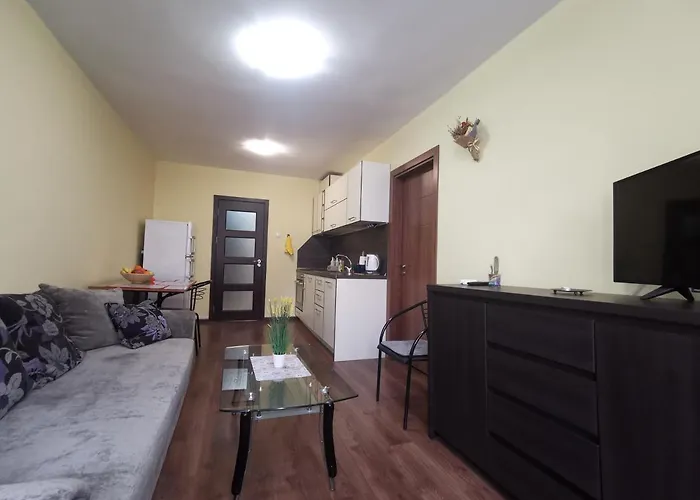 двустаен в центъра на гр. *