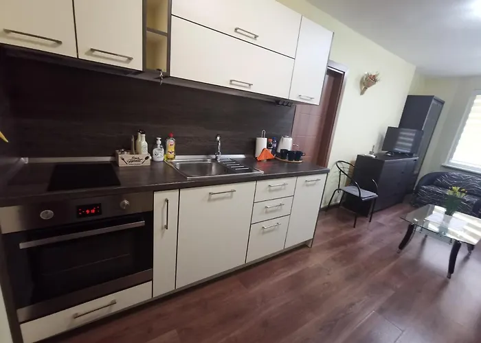 شقة двустаен в центъра на гр. بورغاس